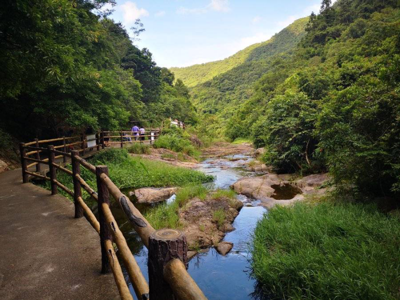 坪山区马峦山郊野公园摄影大赛评选结果出炉