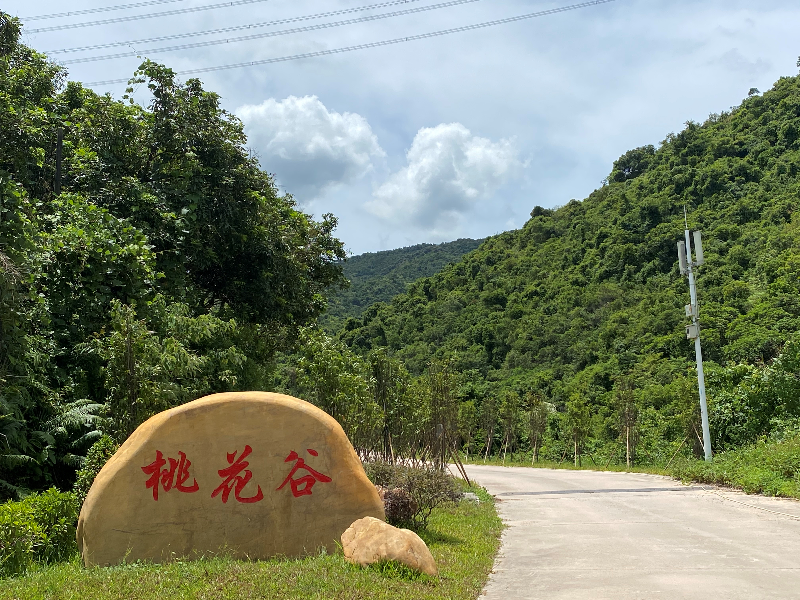 坪山区马峦山郊野公园新景点"桃花谷"落成